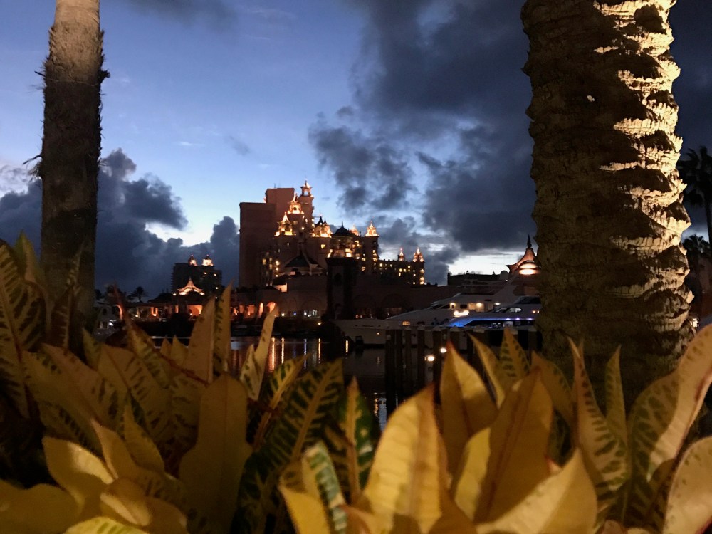 free things to do, marina village, paradise island, the bahamas